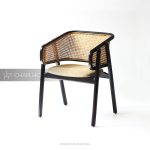 ERCANE ARM CHAIR