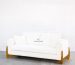 Teak Indoor Modern Sofa (1)